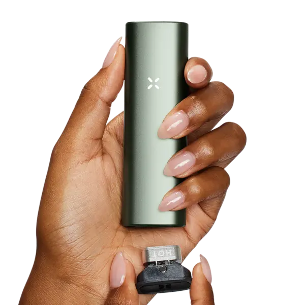 BUY 1 GET 1 FREE PAX Plus Starter Kit | Vape Amazon India Pax