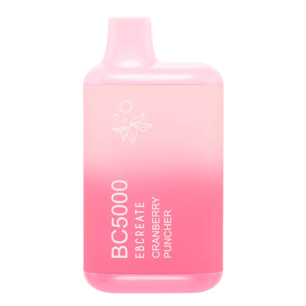 BUY 1 GET 1 FREE Cranberry Puncher BC5000 | Vape Amazon India