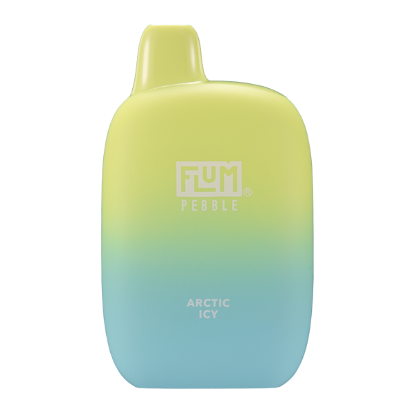 BUY 1 GET 1 FREE Arctic Icy FLUM Pebble | Vape Amazon India